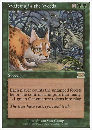 Magic the Gathering: 6th Edition (Base Set) card 266 Waiting in the Weeds