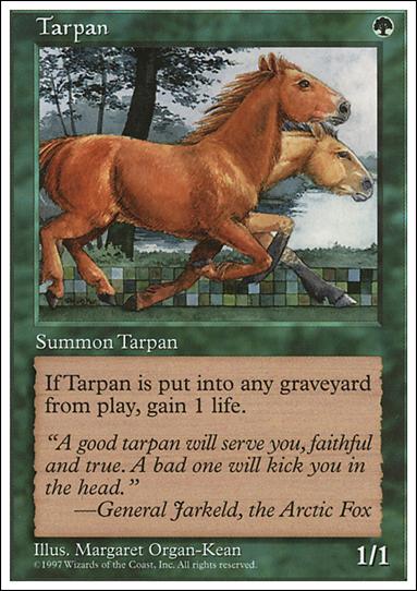Magic the Gathering: 5th Edition (Base Set) card 330 Tarpan