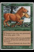 Magic the Gathering: 5th Edition (Base Set) card 330 Tarpan
