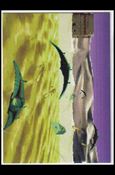 Stargate (Video Game Tips Subset) card TS-4