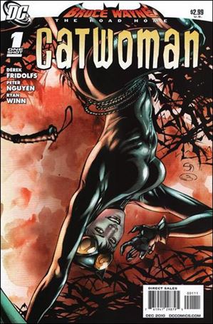 Bruce Wayne: The Road Home: Catwoman Cover Image 1