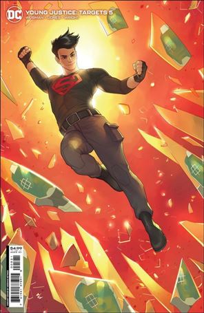 Young Justice: Targets issue 5-B Meghan Hetrick Cardstock Cover