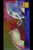 Star Wars Trilogy Special Edition Widevision  (Laser Cut Foil Subset) Cover Image 1