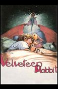 Charles Vess (Base Set) card 75 The Velveteen Rabbit