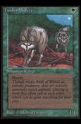 Magic the Gathering: Limited Edition Beta (Base Set) card 220 Timber Wolves
