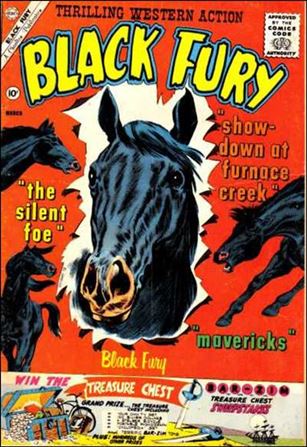Black Fury issue 29