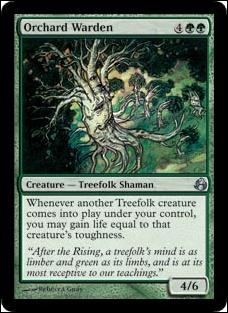 Magic the Gathering: Morningtide (Base Set) card 131 Orchard Warden