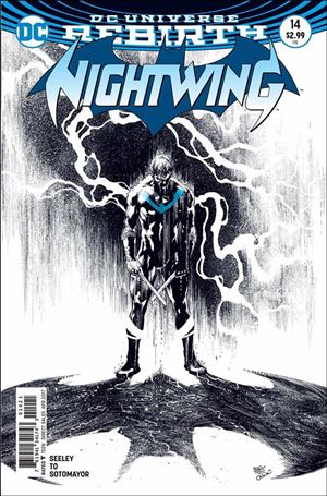 Nightwing (2016) issue 14-B Ivan Reis Cover