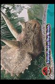 Lost World: Jurassic Park (Base Set) card 42 Triceratops in the Brush