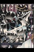 Images of ShadowHawk (Base Set) card 9 Nelson