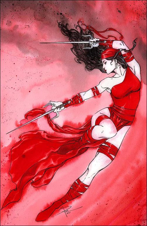 Elektra: Black, White & Blood issue 1-F Sabine Rich Unknown Comics Virgin  Cover