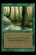 Magic the Gathering: Arabian Nights (Base Set) card 54 Singing Tree