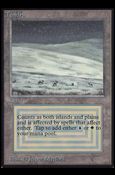 Magic the Gathering: Limited Edition Alpha (Base Set) card 284 Tundra