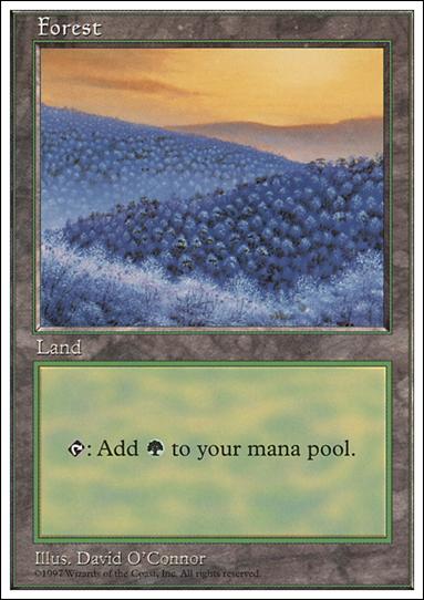 Magic the Gathering: 5th Edition (Base Set) card 434-D Forest