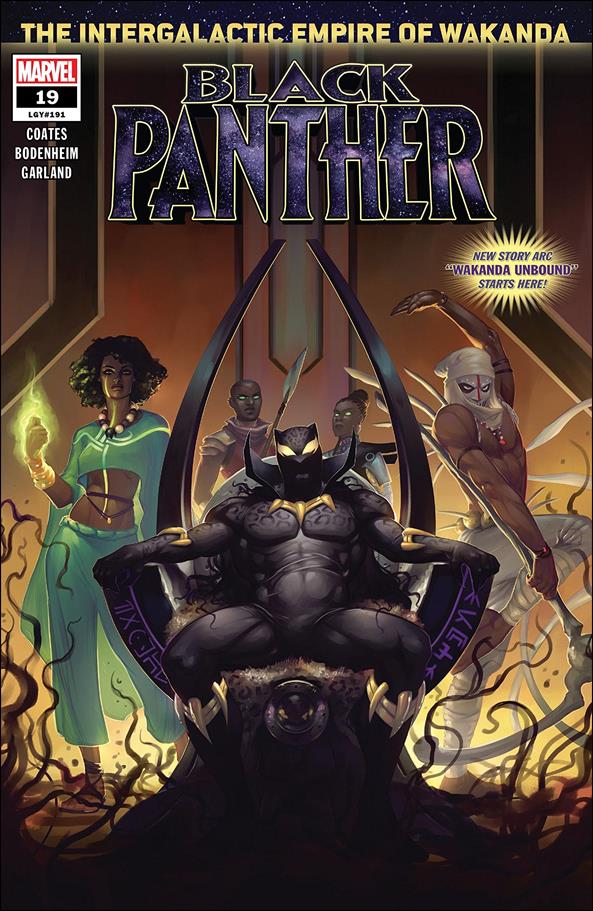 Black Panther (2018) issue 19 Meghan Hetrick Cover