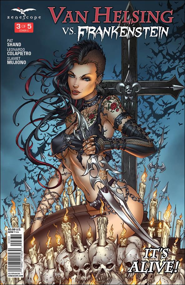 Van Helsing vs Frankenstein issue 3-C Jamie Tyndall Cover