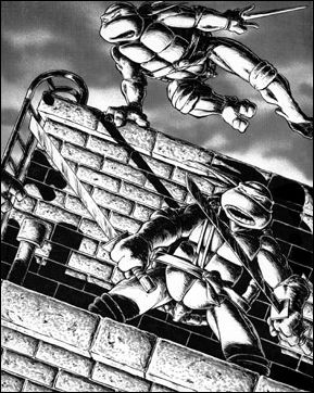 Teenage Mutant Ninja Turtles: The Collected Book issue 1