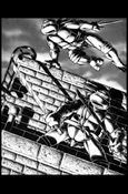 Teenage Mutant Ninja Turtles: The Collected Book Cover Image 1