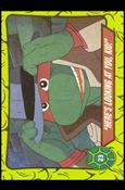 Teenage Mutant Hero Turtles (Ireland) (Base Set) card 23 