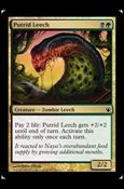 Magic the Gathering: Duel Decks: Izzet vs. Golgari (Base Set) card 53 Putrid Leech