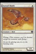 Magic the Gathering: 9th Edition (Base Set) card 49 Suntail Hawk
