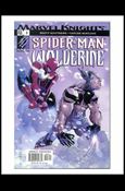 Marvel Knights: Spider-Man/Wolverine (Invalid) issue 3