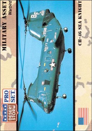 Desert Storm (Base Set) card 244