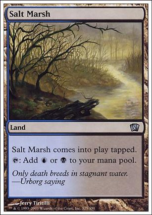 Magic the Gathering: 8th Edition (Base Set) card 325 Salt Marsh