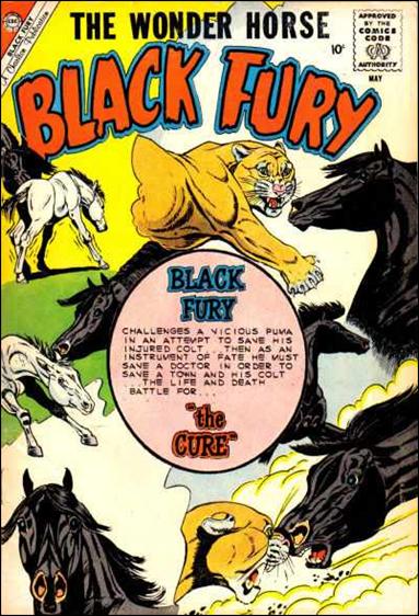 Black Fury issue 24