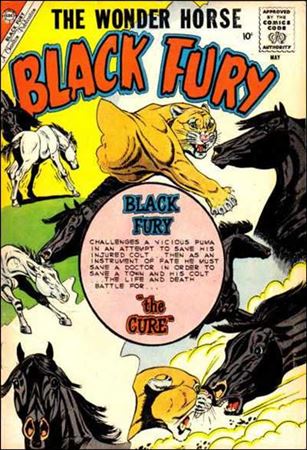 Black Fury issue 24