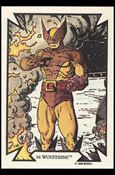 Todd McFarlane Super Heroes: Series 1 (Base Set) card 36 Wolverine