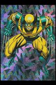 Wolverine: From Then 'Til Now II (Prism Subset) Cover Image 1