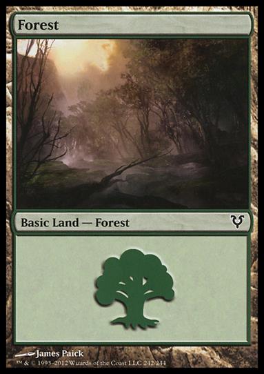 Magic the Gathering: Avacyn Restored (Base Set) card 242 Forest