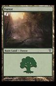Magic the Gathering: Avacyn Restored (Base Set) card 242 Forest