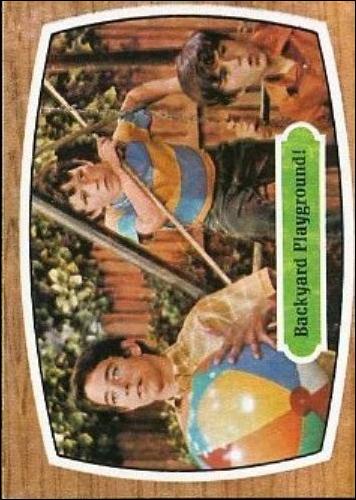 Brady Bunch (Base Set) card 31  Backyard Playground!