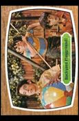 Brady Bunch (Base Set) card 31  Backyard Playground!