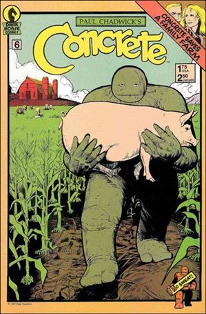 Concrete issue 6
