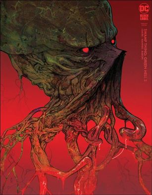 Swamp Thing: Green Hell issue 3-B Christian Ward Cover