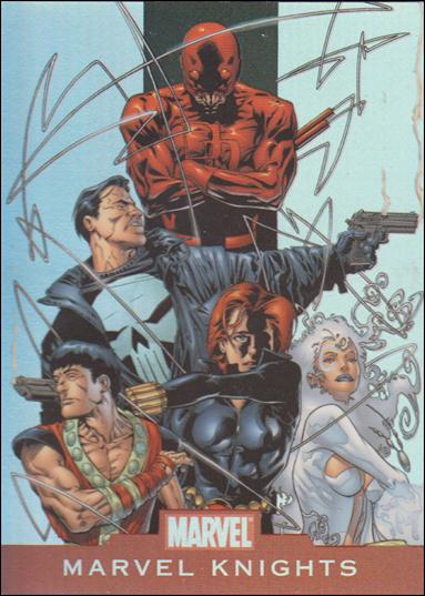 Marvel Heroes and Villains (Alliances Subset) card A10 Marvel Knights