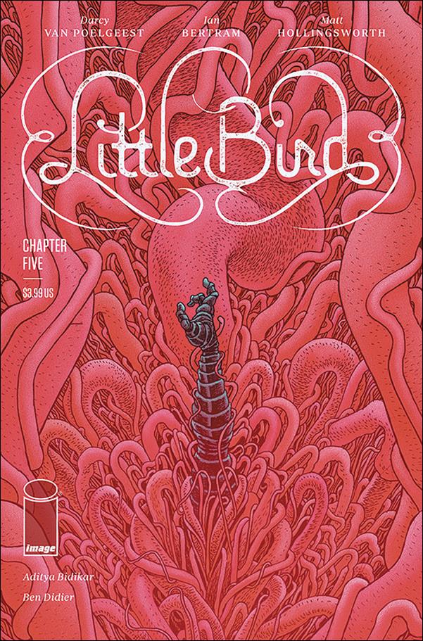 Little Bird 5-A by Image
