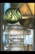 Star Trek Master Series: Series 2 (Base Set) card 10 The Selay