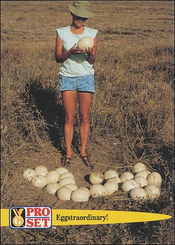 Guinness World Records (Base Set) card 75 Eggstraordinary!