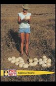 Guinness World Records (Base Set) card 75 Eggstraordinary!
