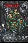 Teenage Mutant Ninja Turtles: The Ultimate Collection issue 3 Color Cover