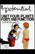 Potential issue 4