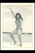 Bunny Yeager's Bettie Page (Base Set) card 6