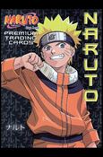 Naruto: Ninja Ranks (Promo) Cover Image 2