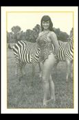Bunny Yeager's Bettie Page (Base Set) card 3