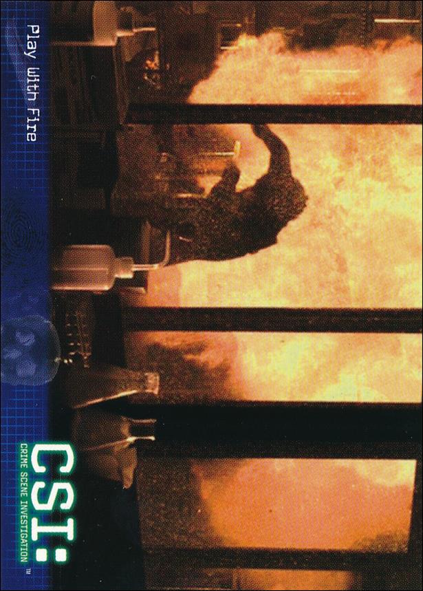 CSI: Crime Scene Investigation - Series Two (Base Set) card 23 Play With Fire