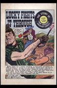 Lucky Fights It Through Cover Image 1